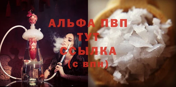 стаф Арсеньев