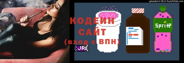 соль ск Алзамай