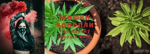 соль ск Алзамай