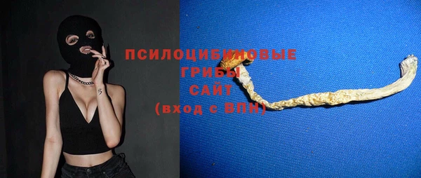 стаф Арсеньев