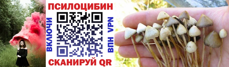 Псилоцибиновые грибы ЛСД  Терек 
